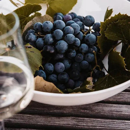 Am Grassnitzberg Holiday home