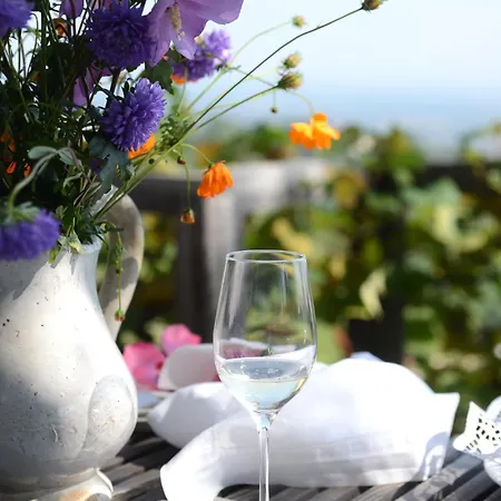 Am Grassnitzberg Spielfeld