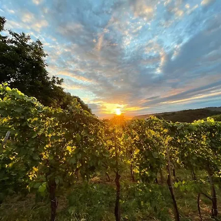 Am Grassnitzberg Holiday home