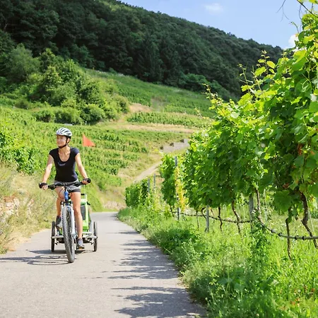 Am Grassnitzberg 18 A * Straß in Steiermark