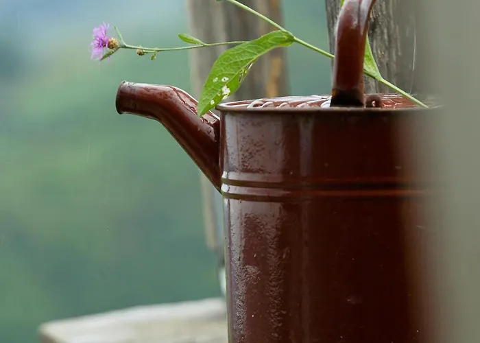 Am Grassnitzberg 18 A *